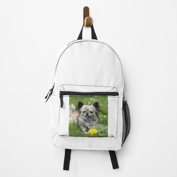 Item preview, Chihuahua Dog with Yellow Flower designed and sold by VanGaldo.