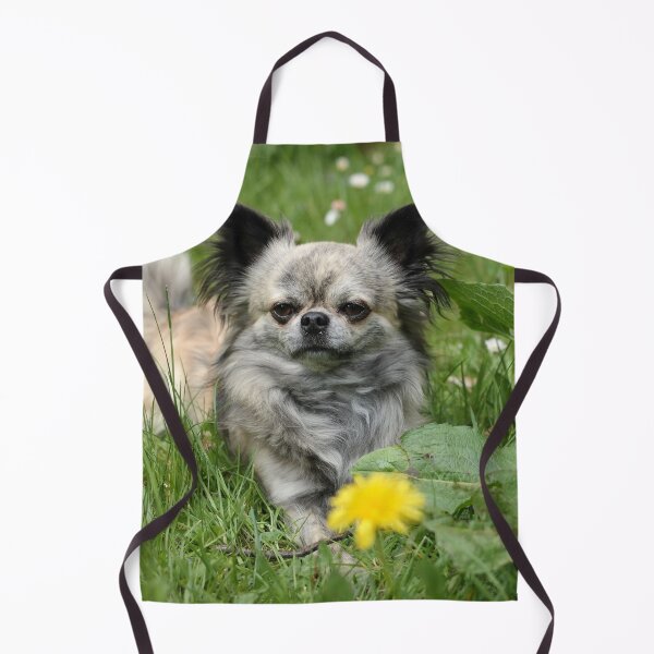 Item preview, Chihuahua Dog with Yellow Flower designed and sold by VanGaldo.