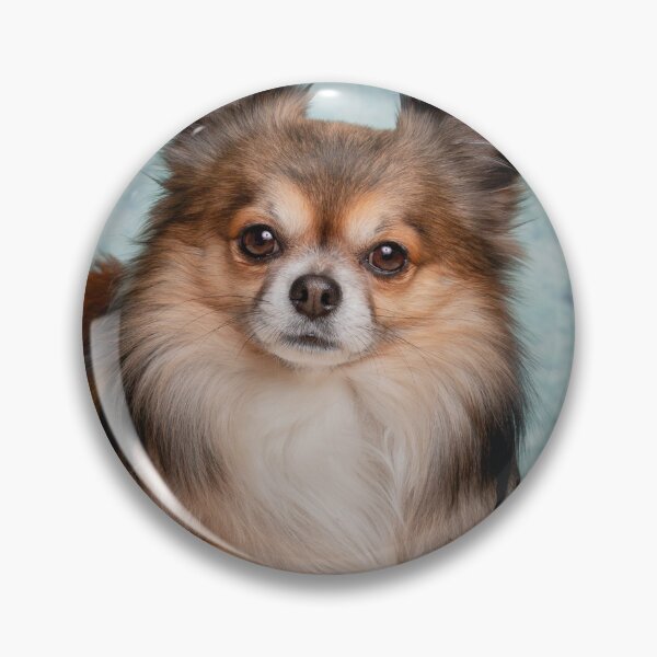 Item preview, Lovely Picture of Chihuahua Dog designed and sold by VanGaldo.
