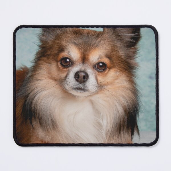 Item preview, Lovely Picture of Chihuahua Dog designed and sold by VanGaldo.