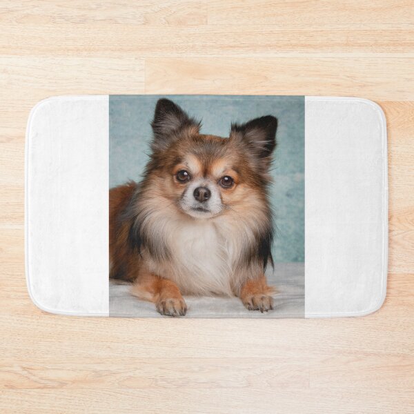 Item preview, Lovely Picture of Chihuahua Dog designed and sold by VanGaldo.