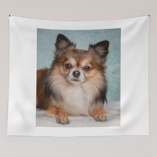 Item preview, Lovely Picture of Chihuahua Dog designed and sold by VanGaldo.