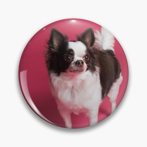 Item preview, Chihuahua Dog at the Studio designed and sold by VanGaldo.