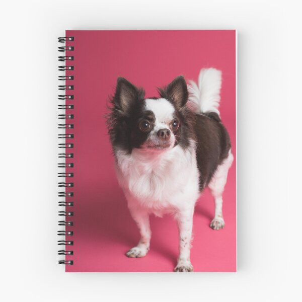 Item preview, Chihuahua Dog at the Studio designed and sold by VanGaldo.
