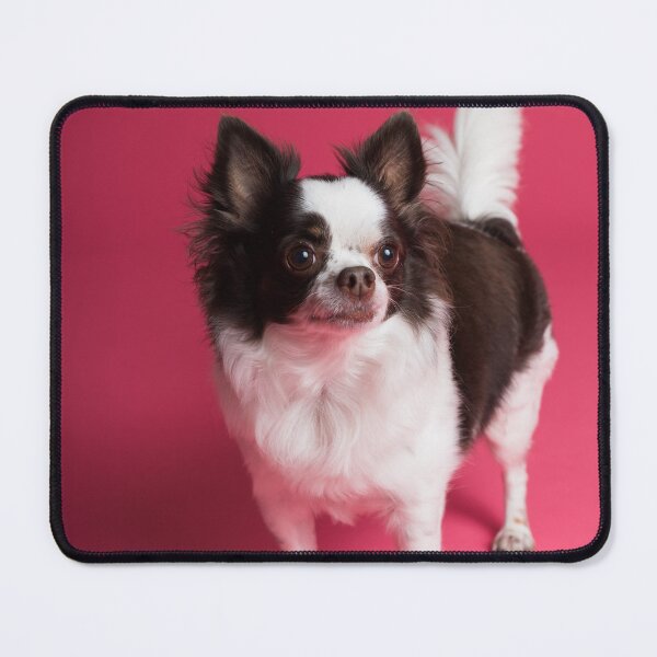 Item preview, Chihuahua Dog at the Studio designed and sold by VanGaldo.