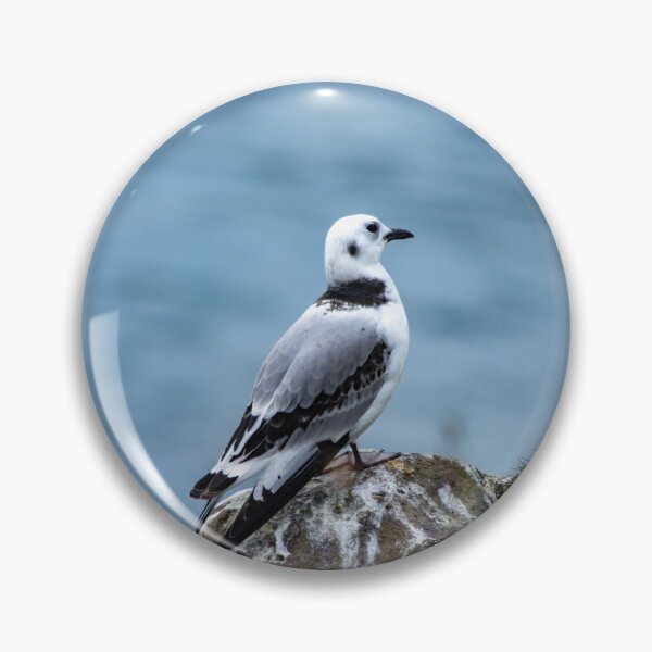 Item preview, Little Gull designed and sold by DJChizzlesworth.