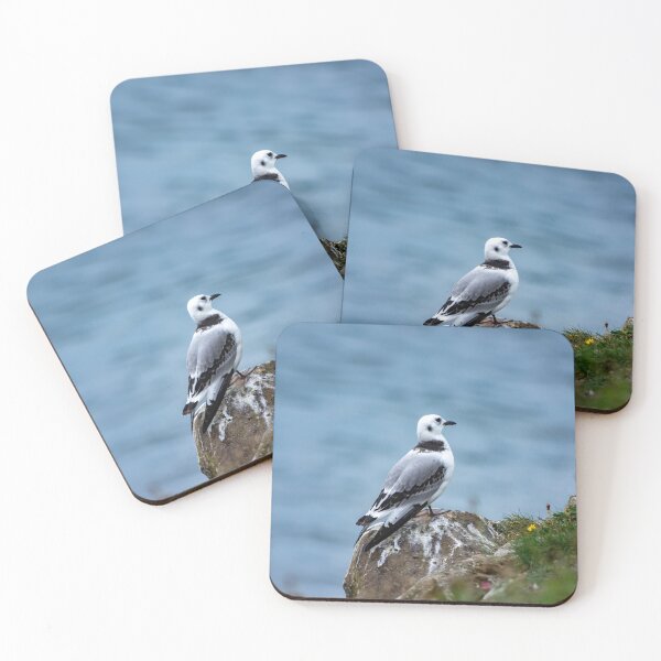 Item preview, Little Gull designed and sold by DJChizzlesworth.