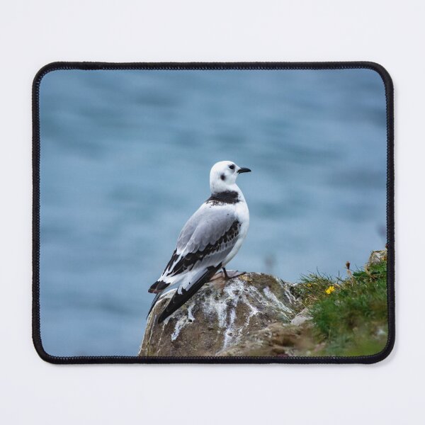Item preview, Little Gull designed and sold by DJChizzlesworth.