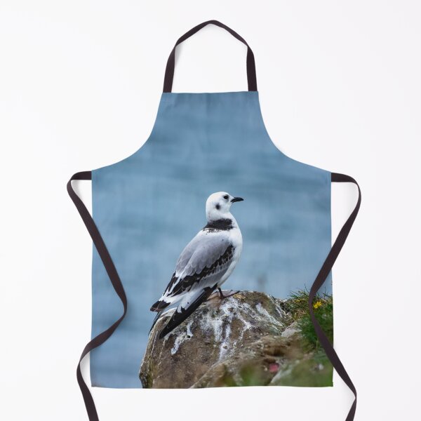 Item preview, Little Gull designed and sold by DJChizzlesworth.