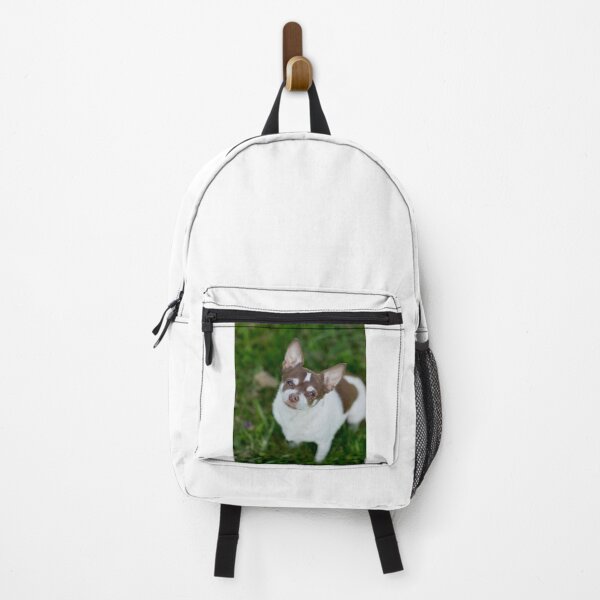 Item preview, Brown Chihuahua Dog at the Green Field designed and sold by VanGaldo.