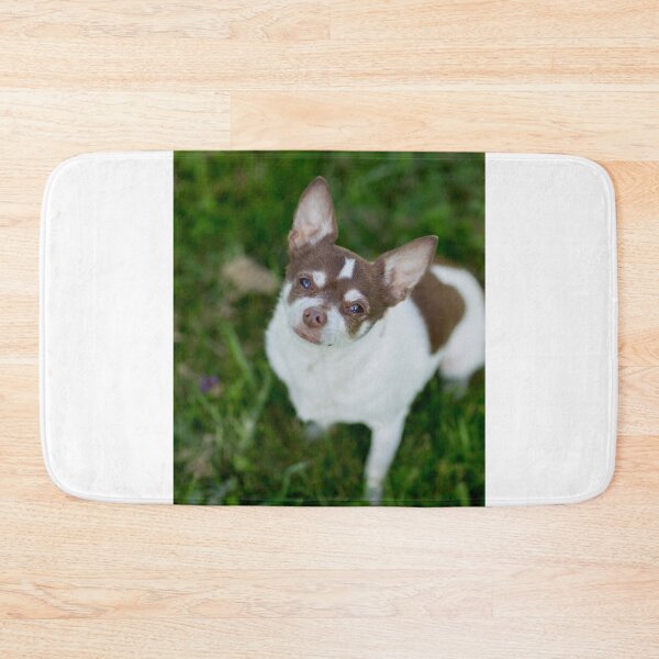 Item preview, Brown Chihuahua Dog at the Green Field designed and sold by VanGaldo.