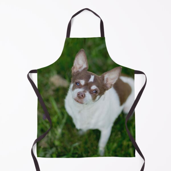 Item preview, Brown Chihuahua Dog at the Green Field designed and sold by VanGaldo.