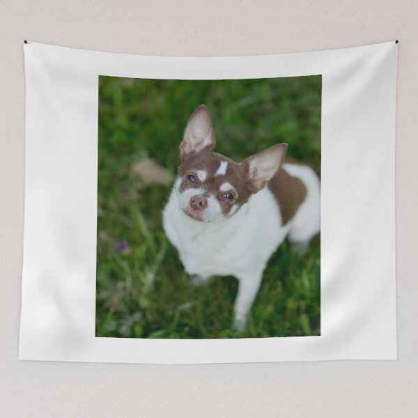 Item preview, Brown Chihuahua Dog at the Green Field designed and sold by VanGaldo.