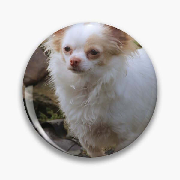Item preview, Beautiful Fluffy Chihuahua Dog designed and sold by VanGaldo.
