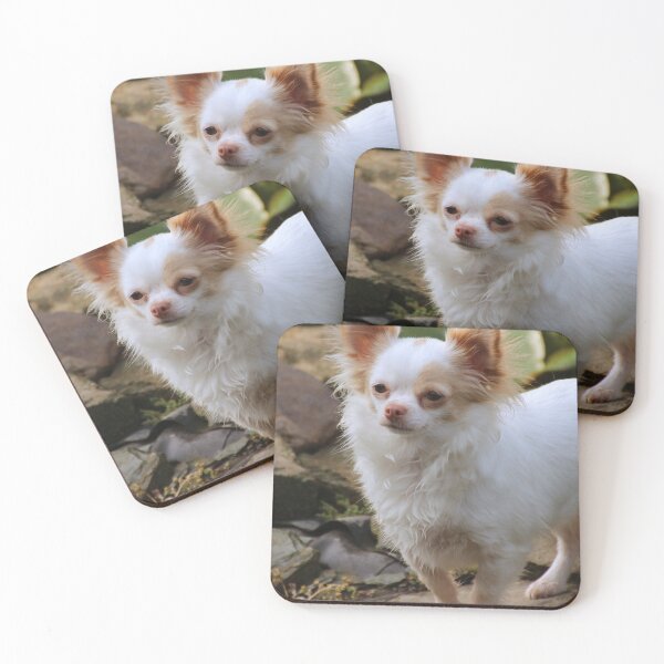 Item preview, Beautiful Fluffy Chihuahua Dog designed and sold by VanGaldo.