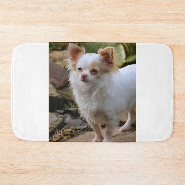 Item preview, Beautiful Fluffy Chihuahua Dog designed and sold by VanGaldo.