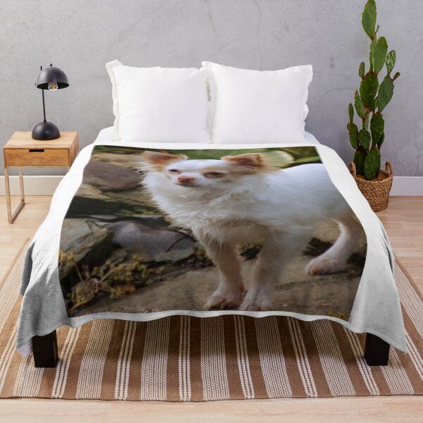 Item preview, Beautiful Fluffy Chihuahua Dog designed and sold by VanGaldo.