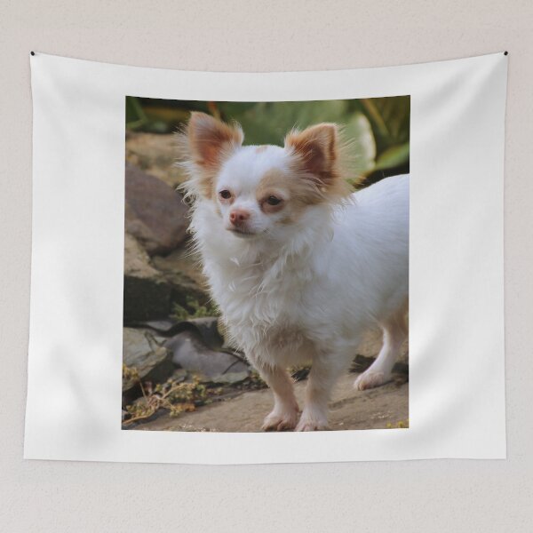 Item preview, Beautiful Fluffy Chihuahua Dog designed and sold by VanGaldo.