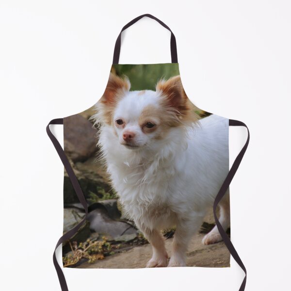 Item preview, Beautiful Fluffy Chihuahua Dog designed and sold by VanGaldo.