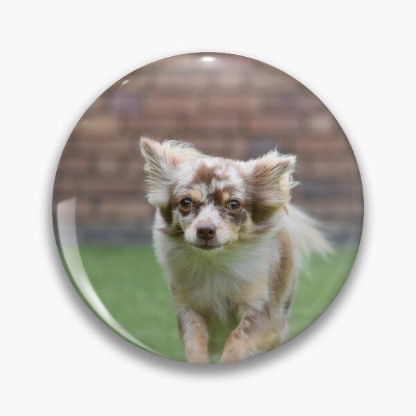 Item preview, Chihuahua Dog Loves Running  designed and sold by VanGaldo.