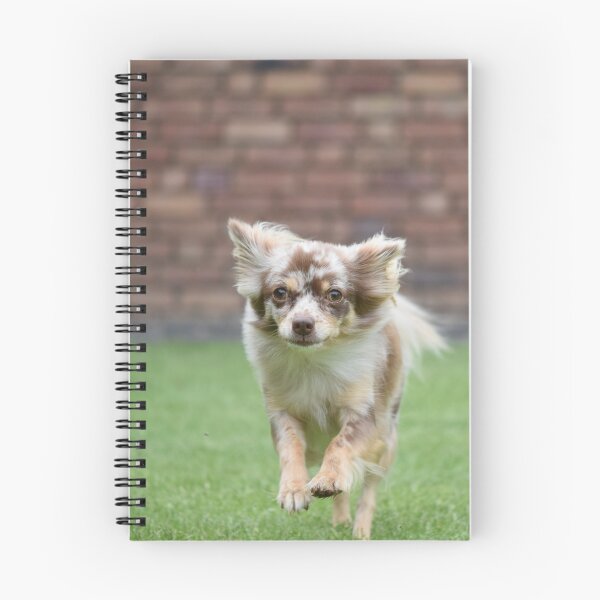 Item preview, Chihuahua Dog Loves Running  designed and sold by VanGaldo.