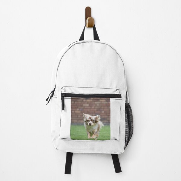 Item preview, Chihuahua Dog Loves Running designed and sold by VanGaldo.