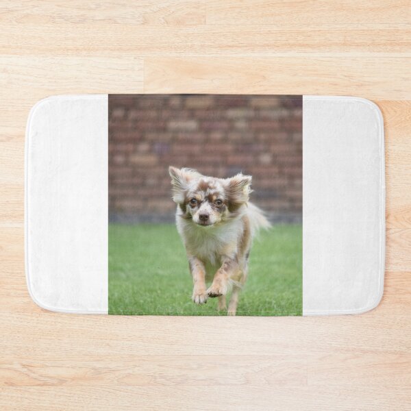 Item preview, Chihuahua Dog Loves Running  designed and sold by VanGaldo.
