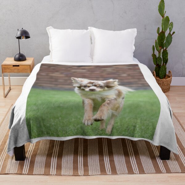 Item preview, Chihuahua Dog Loves Running designed and sold by VanGaldo.