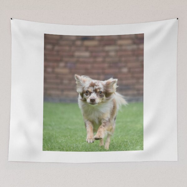 Item preview, Chihuahua Dog Loves Running  designed and sold by VanGaldo.