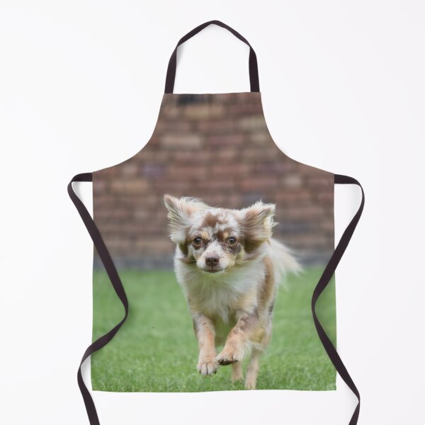 Item preview, Chihuahua Dog Loves Running  designed and sold by VanGaldo.