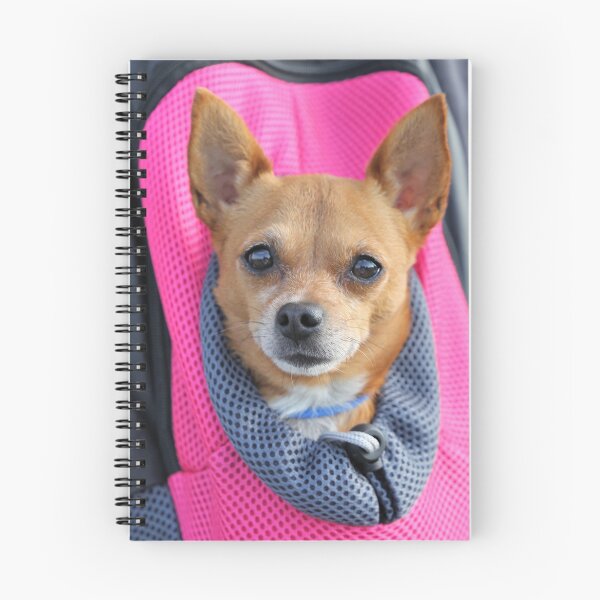 Item preview, Chihuahua Dog Inside the Backpack designed and sold by VanGaldo.