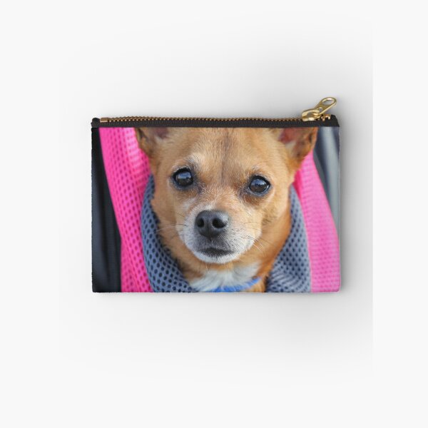 Item preview, Chihuahua Dog Inside the Backpack designed and sold by VanGaldo.