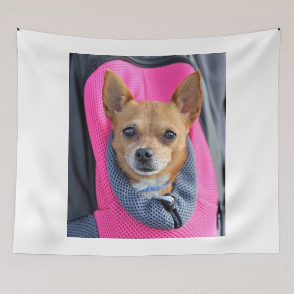 Item preview, Chihuahua Dog Inside the Backpack designed and sold by VanGaldo.