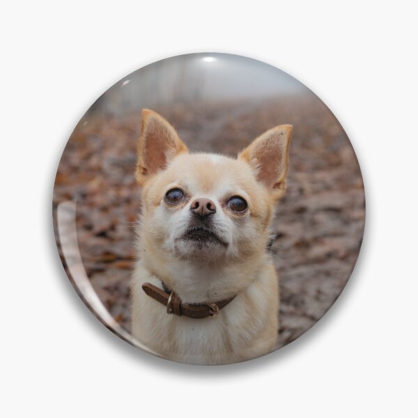 Item preview, Chihuahua Dog in the Forest designed and sold by VanGaldo.