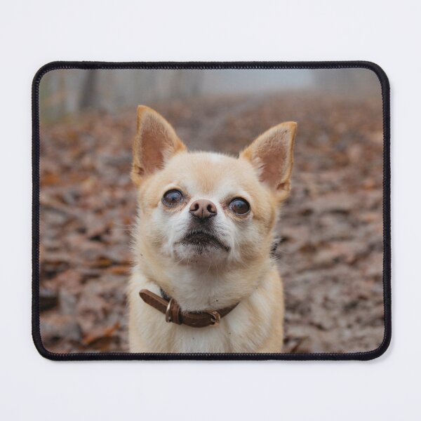 Item preview, Chihuahua Dog in the Forest designed and sold by VanGaldo.