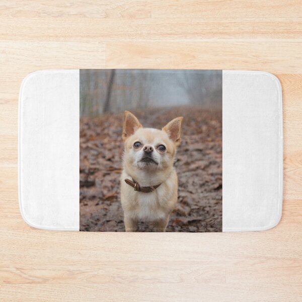Item preview, Chihuahua Dog in the Forest designed and sold by VanGaldo.