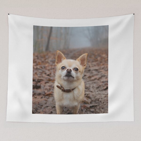 Item preview, Chihuahua Dog in the Forest designed and sold by VanGaldo.