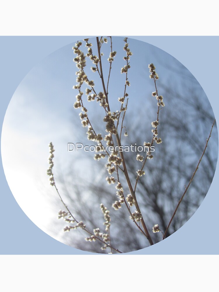 Serene by DPconversations