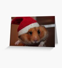 Merry Christmas Greeting Card