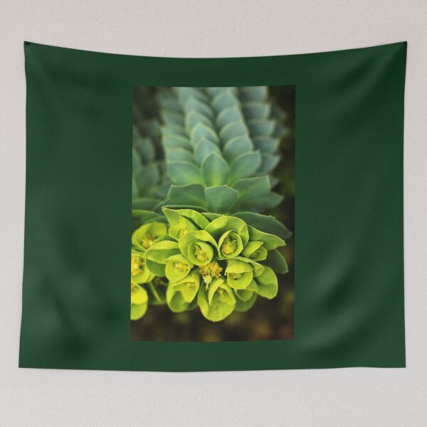 Item preview, Donkey Tail designed and sold by Debbie Oppermann.
