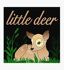 little Deer Photographic Print