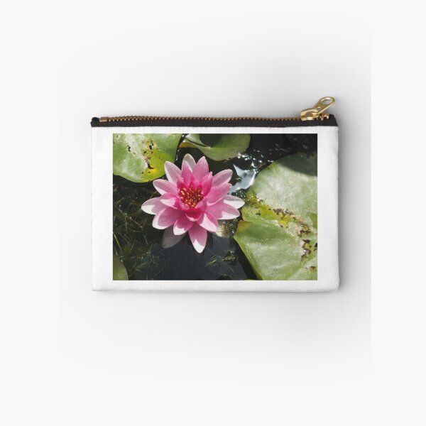 Item preview, Pink water lily designed and sold by Thaddeus Zajdowicz.