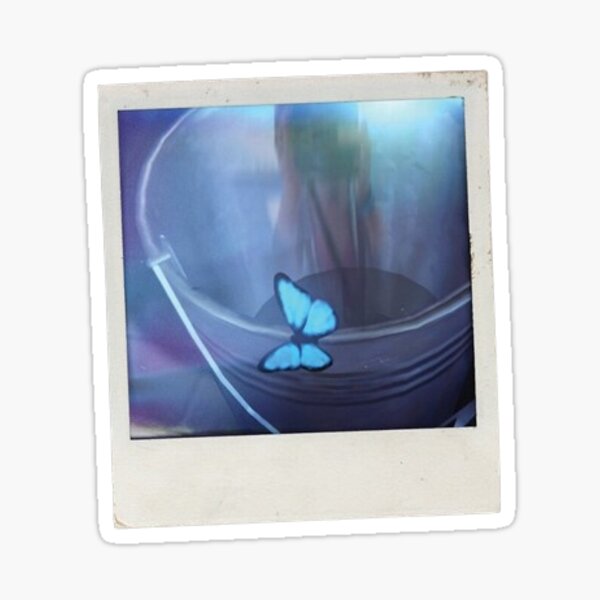 Item preview, Life is Strange - butterfly effect polaroid designed and sold by JustYourAverageNerd.
