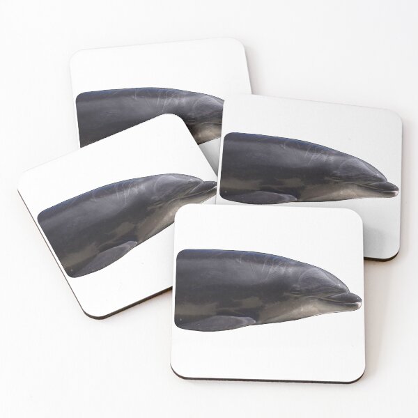 Item preview, Starbuck Dolphin designed and sold by tidaldreams.