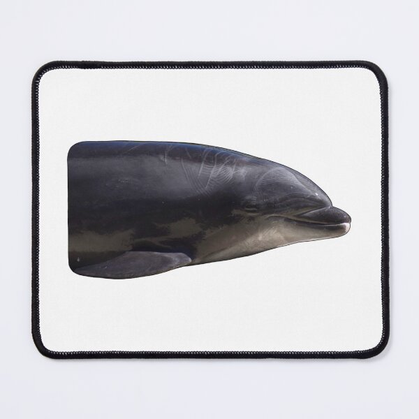 Item preview, Starbuck Dolphin designed and sold by tidaldreams.