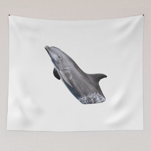 Item preview, Diego Dolphin designed and sold by tidaldreams.