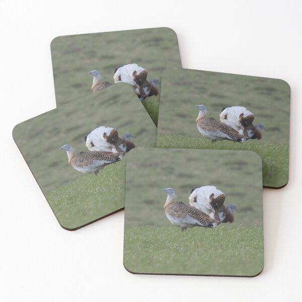 Item preview, Great Bustard designed and sold by LaurenTucker.