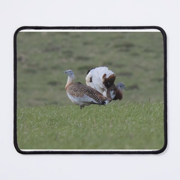 Item preview, Great Bustard designed and sold by LaurenTucker.