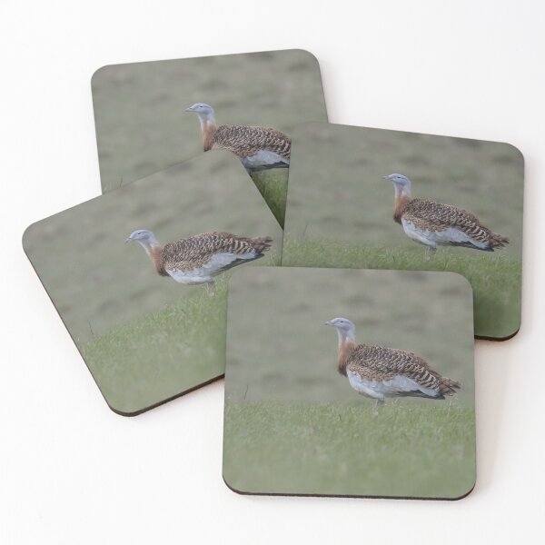 Item preview, Great Bustard designed and sold by LaurenTucker.