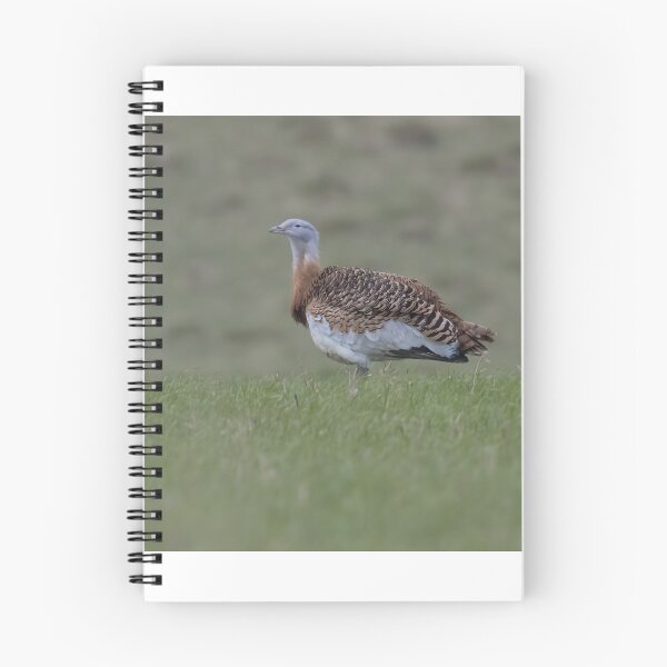 Item preview, Great Bustard designed and sold by LaurenTucker.